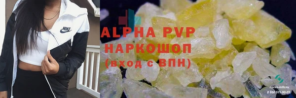 СК Волосово