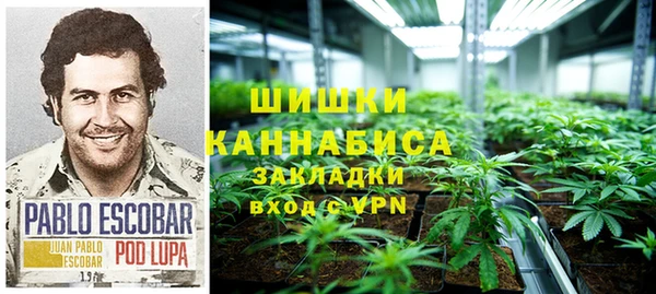 СК Волосово