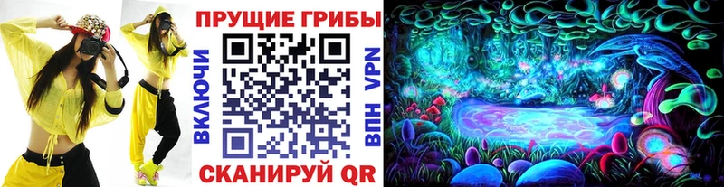 Галлюциногенные грибы мицелий  Игра 
